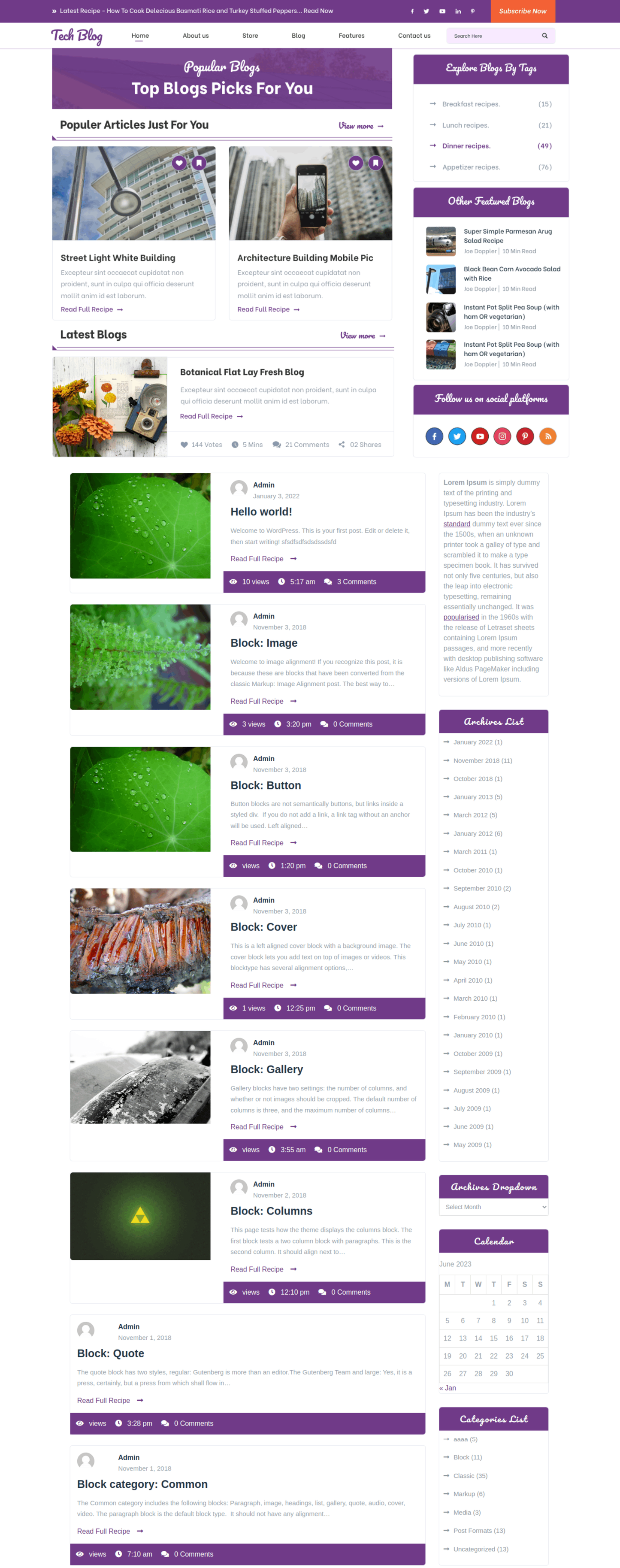 Free Blog WordPress Theme