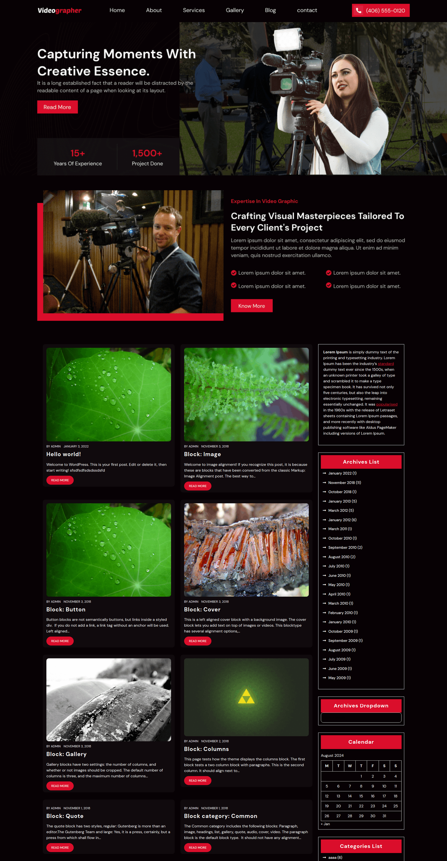 Free Video WordPress Theme