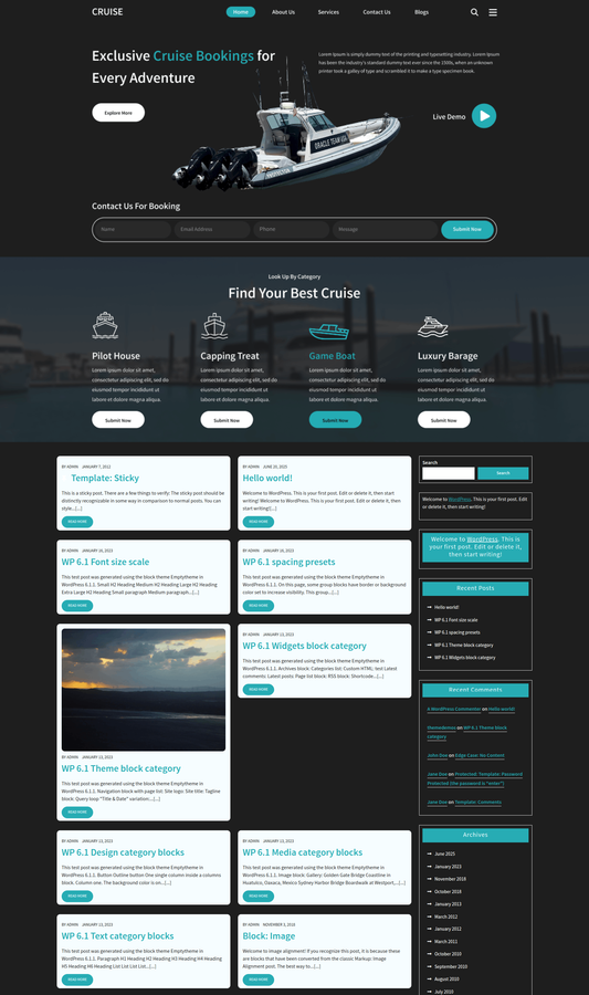 Holiday Travel Cruise