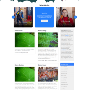 Free Cleaning Services WordPress Theme